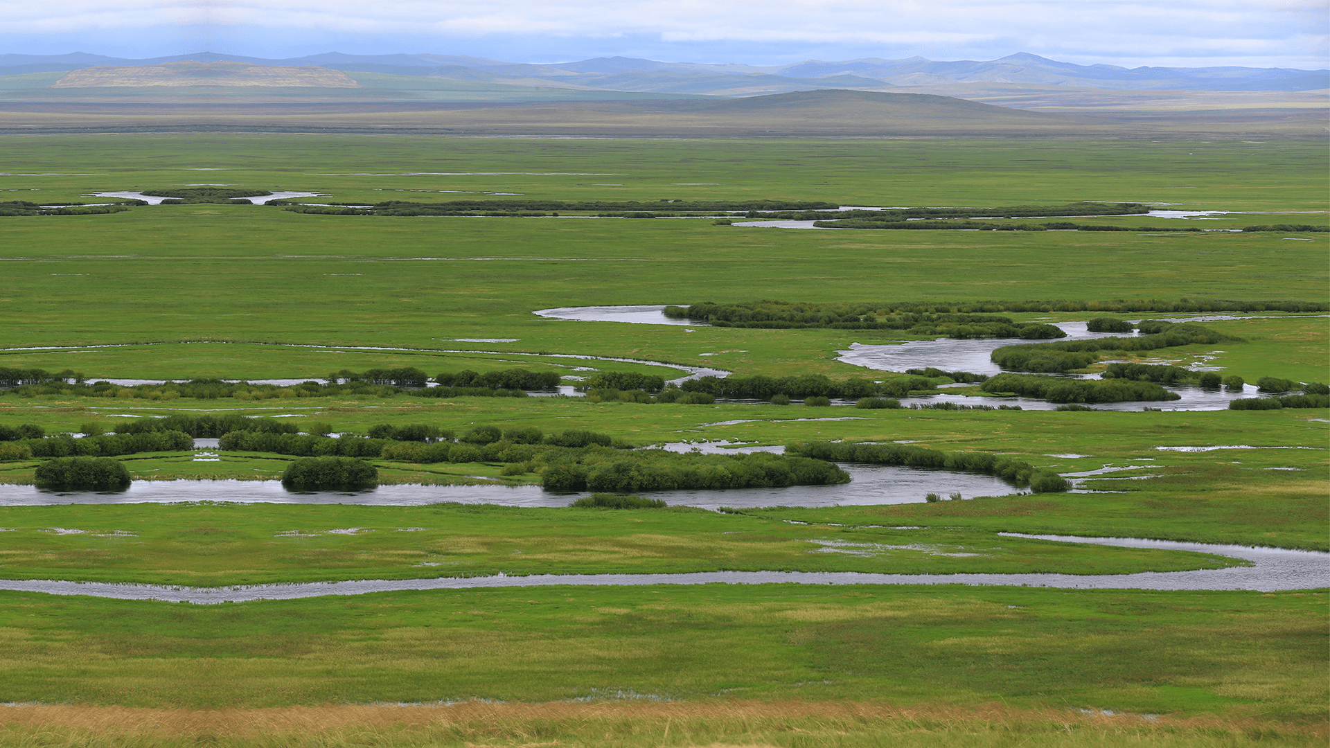 内蒙古地质工程有限责任公司