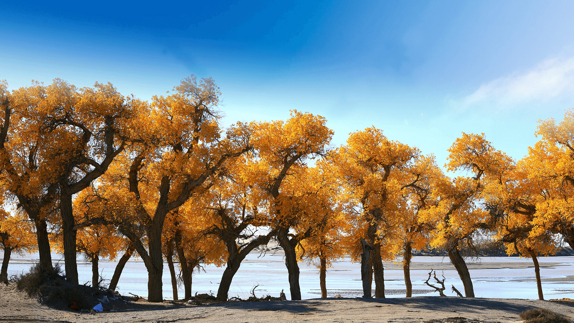 筑牢安全根基-护航地矿发展